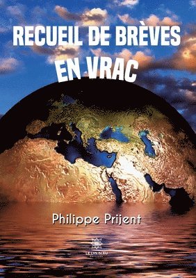 bokomslag Recueil de brèves en vrac