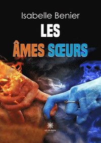 bokomslag Les âmes soeurs