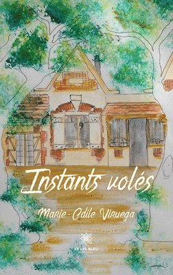 bokomslag Instants volés