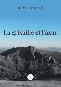 bokomslag La grisaille et l'azur