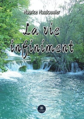 La vie infiniment 1