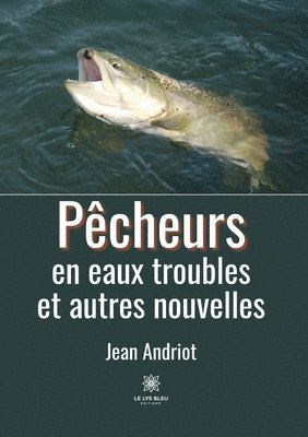 bokomslag Pêcheurs en eaux troubles et autres nouvelles