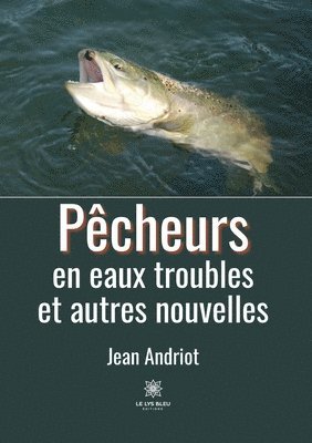 bokomslag Pecheurs en eaux troubles et autres nouvelles