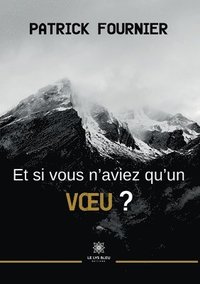 bokomslag Et si vous n'aviez qu'un voeu ?