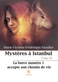 bokomslag Mysteres a Istanbul