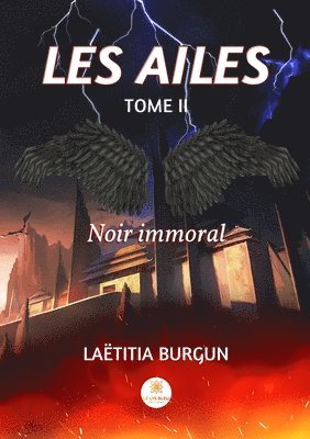 bokomslag Les Ailes