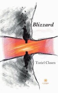 bokomslag Blizzard