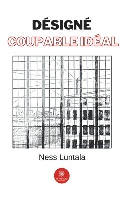 bokomslag Désigné coupable idéal
