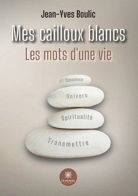 bokomslag Mes cailloux blancs Les mots d'une vie