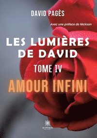 bokomslag Les lumières de David: Tome IV: Amour infini