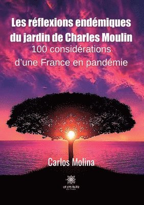 bokomslag Les réflexions endémiques du jardin de Charles Moulin