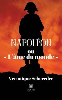 bokomslag Napoléon ou L'âme du monde