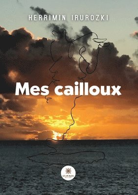 bokomslag Mes cailloux