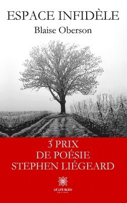 bokomslag Espace infidèle