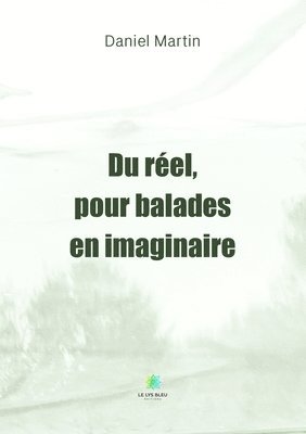 bokomslag Du réel, pour balades en imaginaire