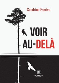 bokomslag Voir au-delà