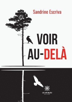 bokomslag Voir au-dela