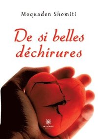 bokomslag De si belles déchirures