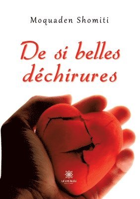 bokomslag De si belles déchirures