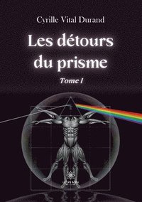 bokomslag Les détours du prisme
