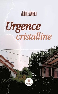 bokomslag Urgence cristalline