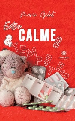 bokomslag Entre calmes et tempêtes