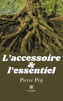 L'accessoire et l'essentiel 1