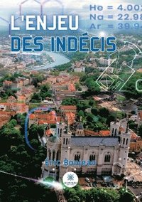 bokomslag L'enjeu des indecis