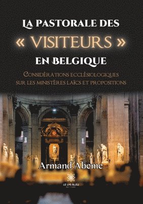 bokomslag La pastorale des visiteurs en Belgique