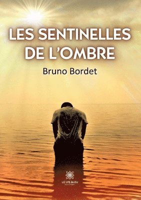 bokomslag Les sentinelles de l'ombre