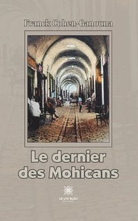 bokomslag Le dernier des Mohicans