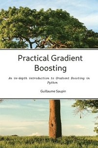 bokomslag Practical Gradient Boosting