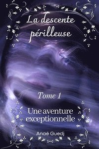 bokomslag descente périlleuse - Tome 1