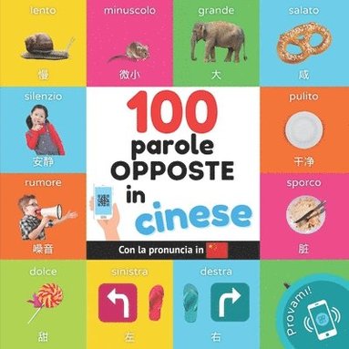 bokomslag 100 parole opposte in cinese