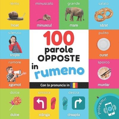 100 parole opposte in rumeno 1