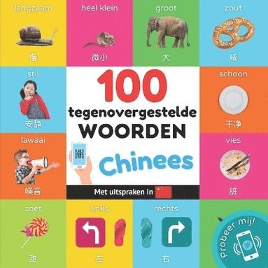 bokomslag 100 tegenovergestelde woorden in het Chinees