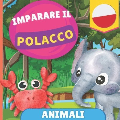 Imparare il polacco - Animali 1