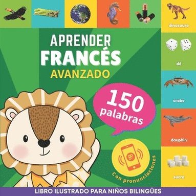 bokomslag Aprender francés - 150 palabras con pronunciación - Avanzado