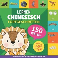 bokomslag Chinesisch lernen - 150 Wörter mit Aussprache - Fortgeschritten