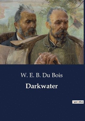 bokomslag Darkwater