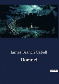 bokomslag Domnei