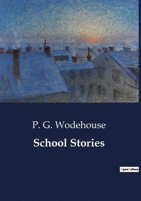 bokomslag School Stories