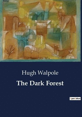 bokomslag Dark Forest