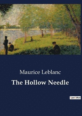 bokomslag Hollow Needle
