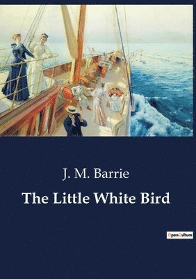 Little White Bird