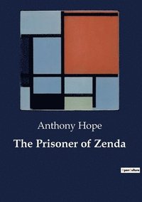 bokomslag Prisoner of Zenda
