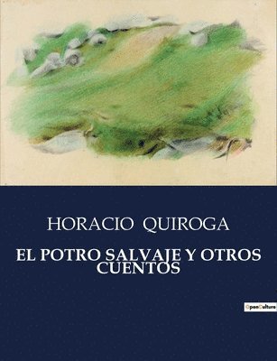 bokomslag Potro Salvaje Y Otros Cuentos