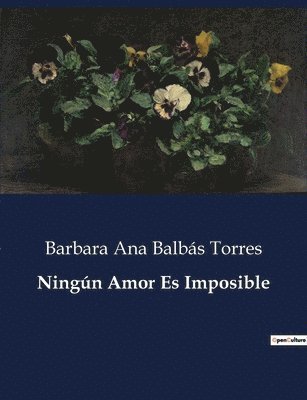 bokomslag Ningún Amor Es Imposible