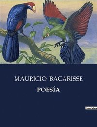 bokomslag Poesía