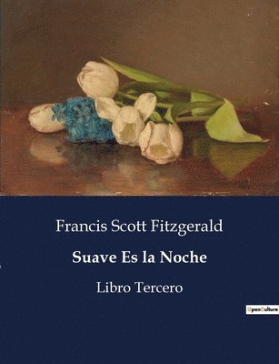 F Scott Fitzgerald - Suave Es la Noche, Häftad
